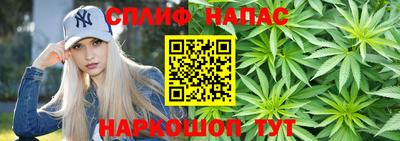 apvp Кандалакша