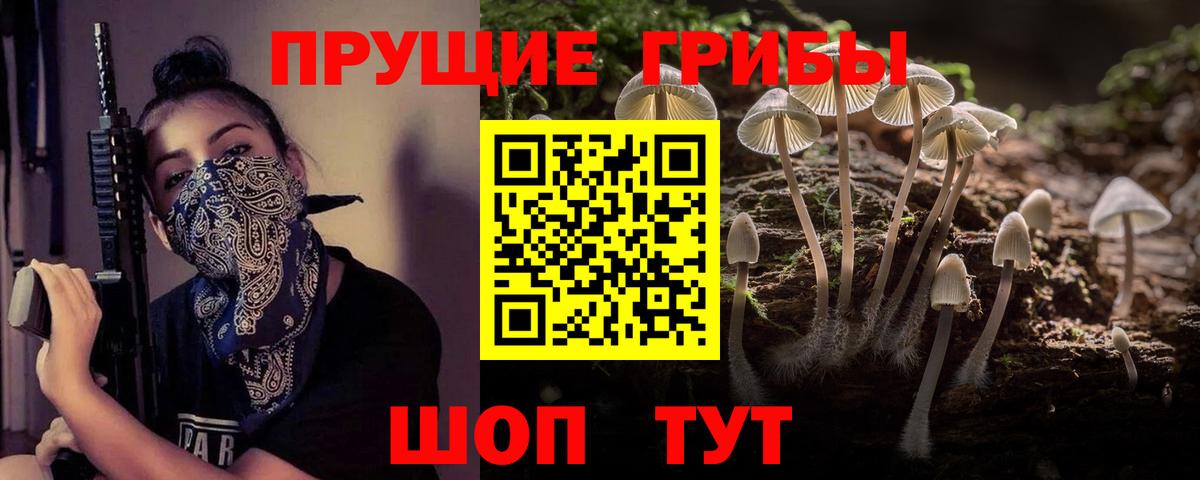 Галлюциногенные грибы мицелий Кунгур