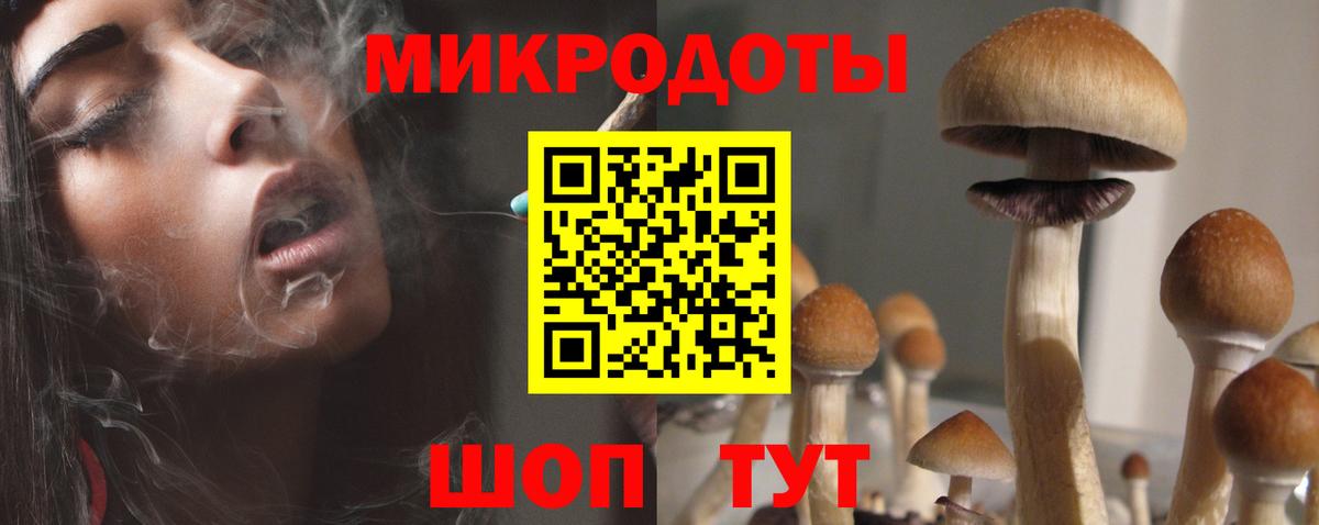Псилоцибиновые грибы мухоморы  Псилоцибиновые грибы прущие грибы  Вход с VPN  Кунгур 
